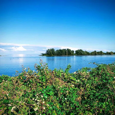 Zusenzomer Oostwoud