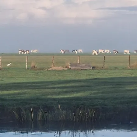 Zusenzomer *