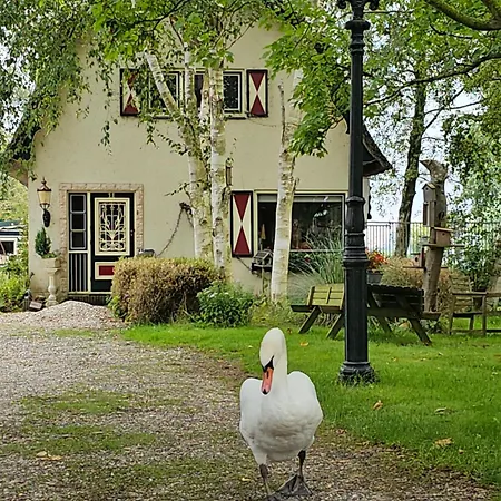Zusenzomer