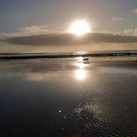 Zusenzomer לינה וארוחת בוקר Oostwoud