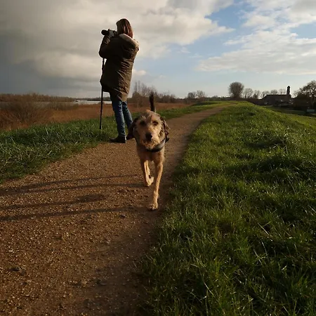 Zusenzomer לינה וארוחת בוקר Oostwoud