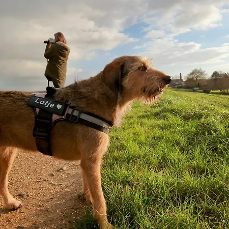 Zusenzomer B&B Oostwoud