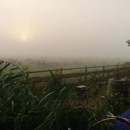 Zusenzomer * Oostwoud
