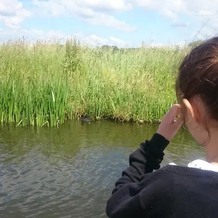 Zusenzomer לינה וארוחת בוקר Oostwoud