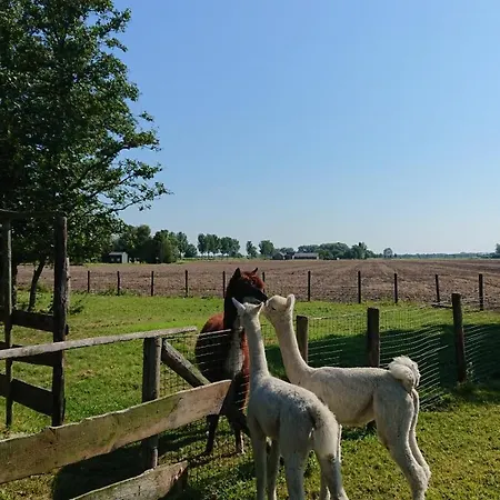 Zusenzomer *