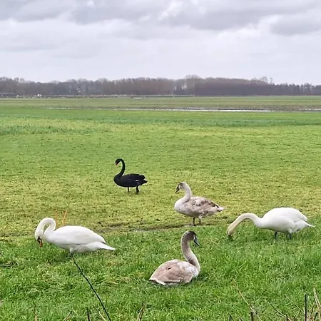 Zusenzomer ベッド・アンド・ブレックファスト Oostwoud