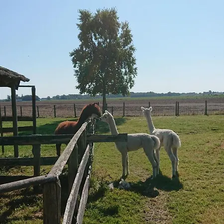 Bed & Breakfast Zusenzomer *